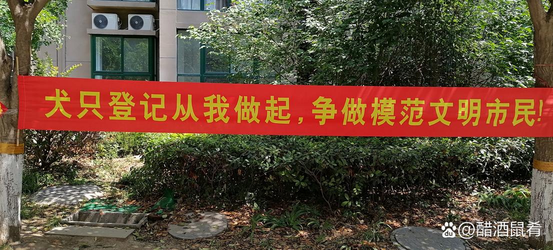 中青育达教育